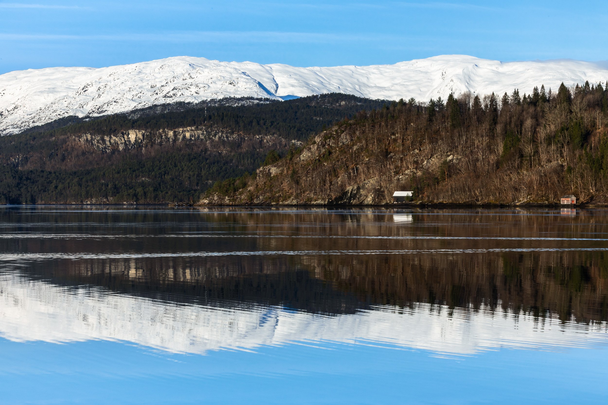 Nature & Landscapes: Time Etched in Silence