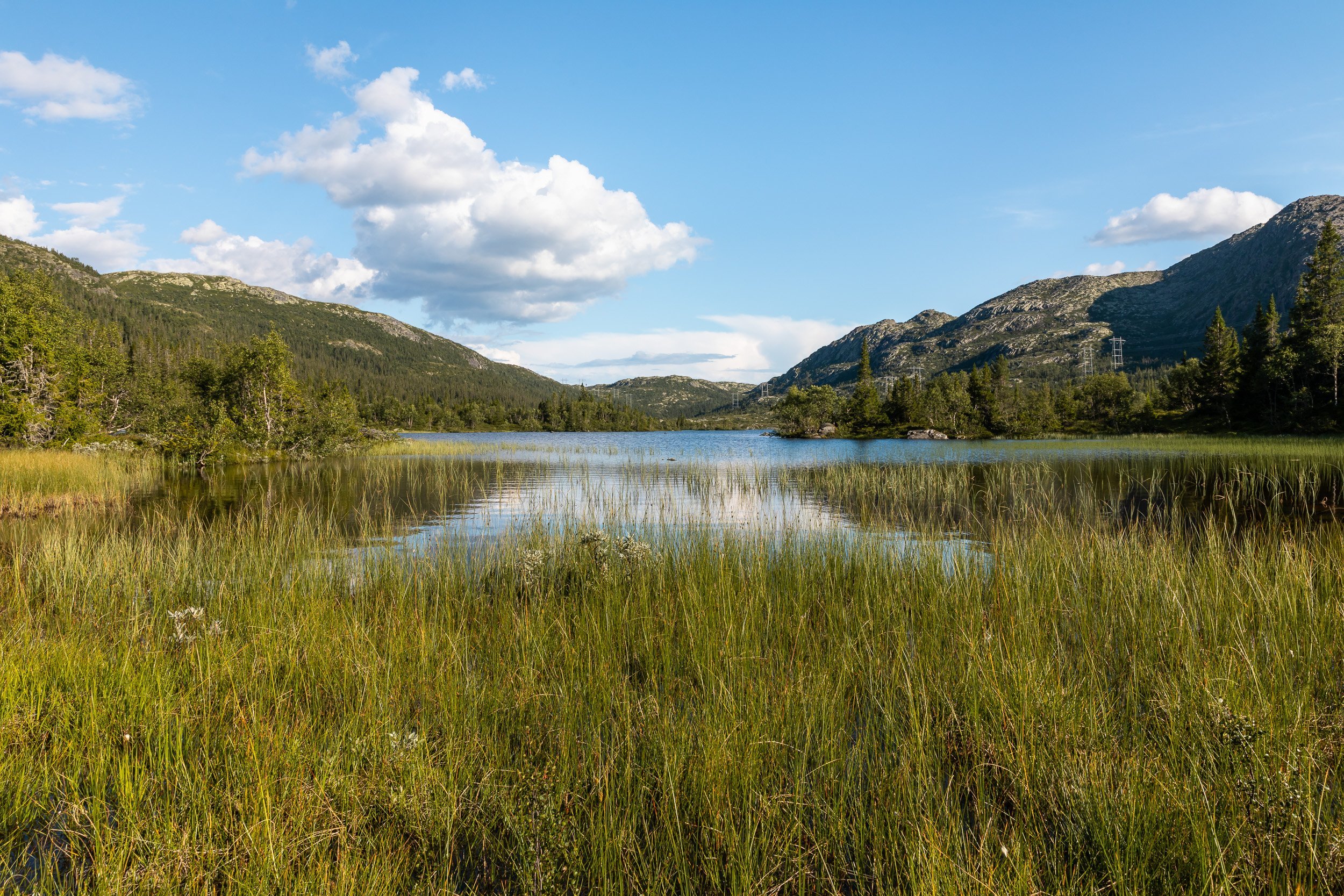 Nature & Landscapes: Time Etched in Silence